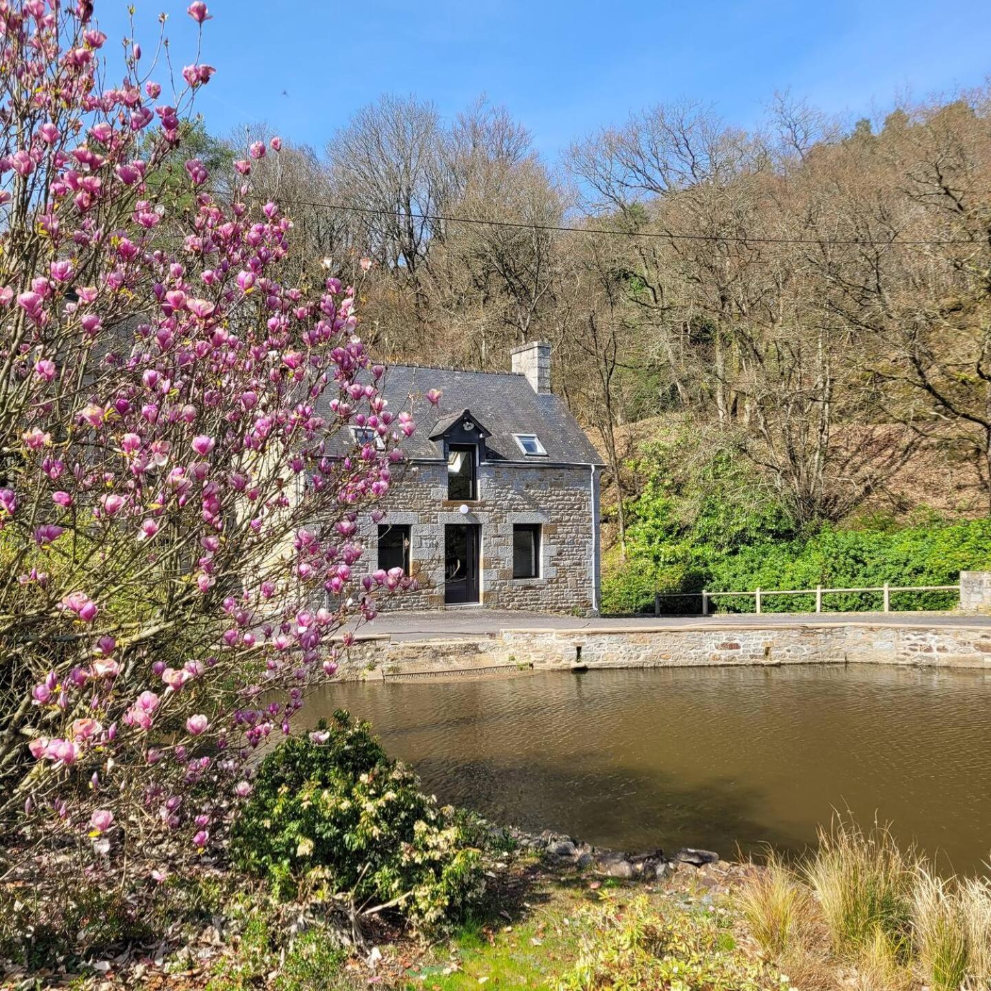 Maison Du Moulin Holiday home *
